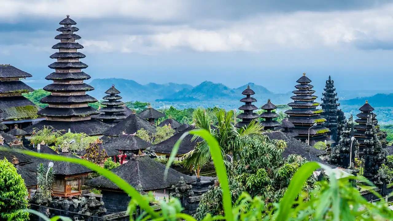 Growth in Bali