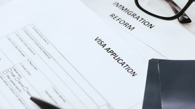 c20 visa