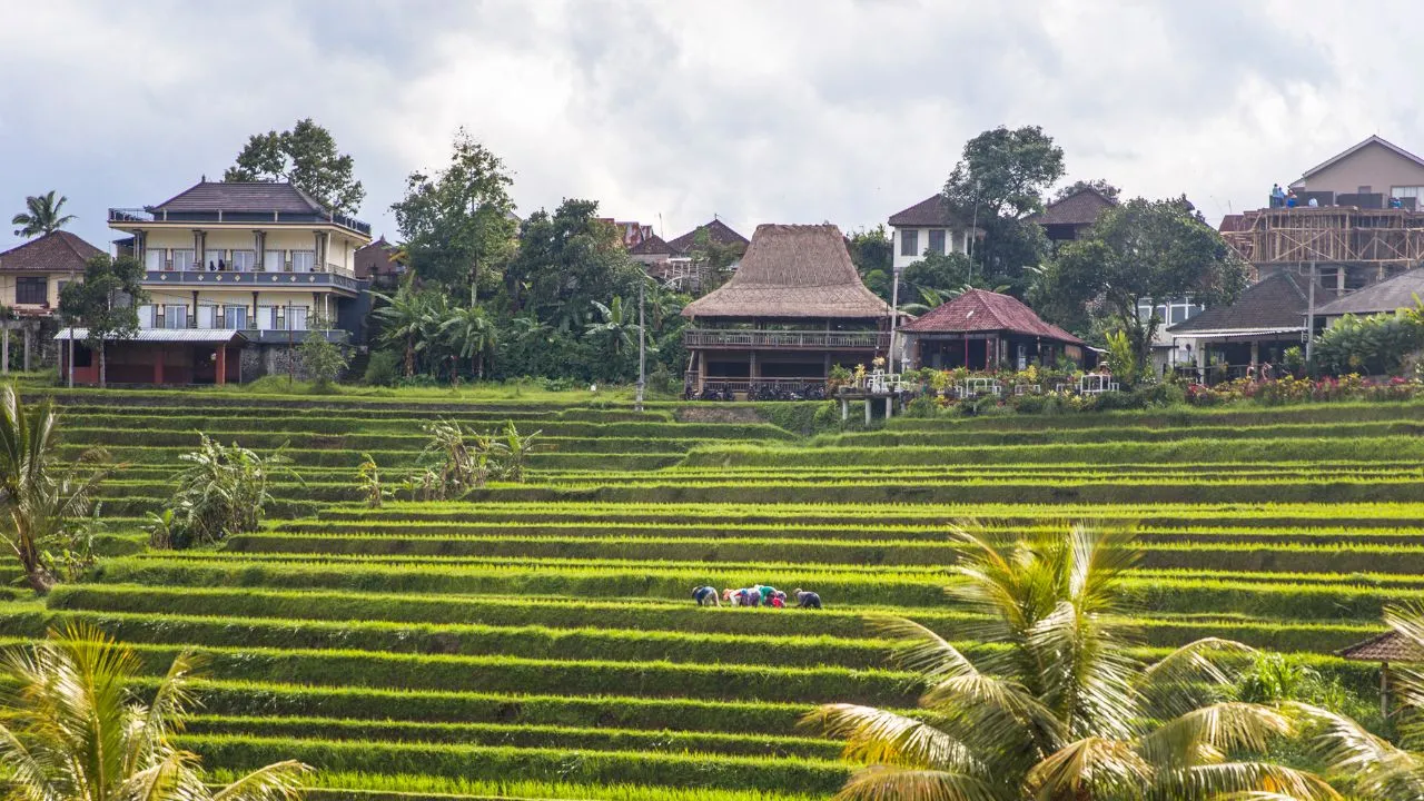 BALI PADDI VILLA REGULATION